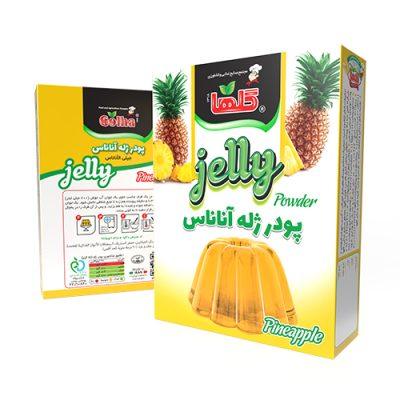 پودر ژله آناناس 100 گرم- جعبه