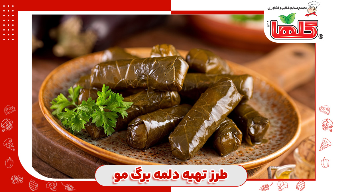 طرز تهیه دلمه برگ مو