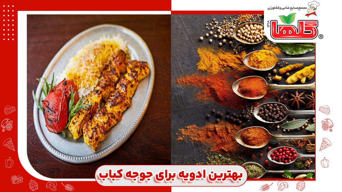 بهترین ادویه برای جوجه کباب