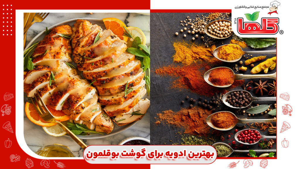 بهترین ادویه برای گوشت بوقلمون