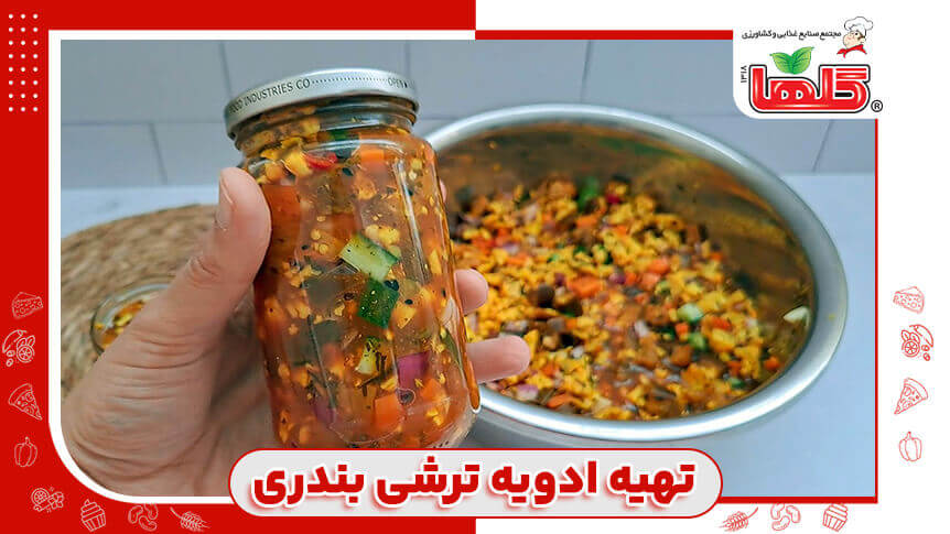 بهترین ادویه ترشی بندری