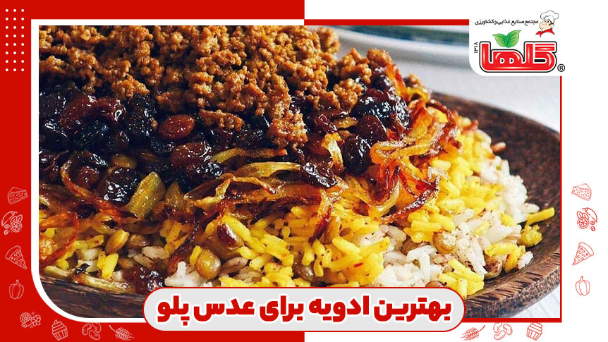 بهترین ادویه برای عدس پلو