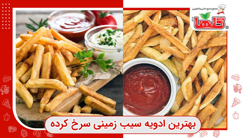 بهترین ادویه برای سیب زمینی سرخ کرده