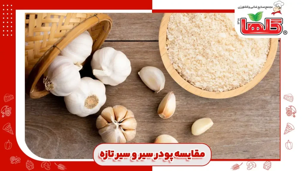 مقایسه تفاوت پودر سیر و سیر تازه
