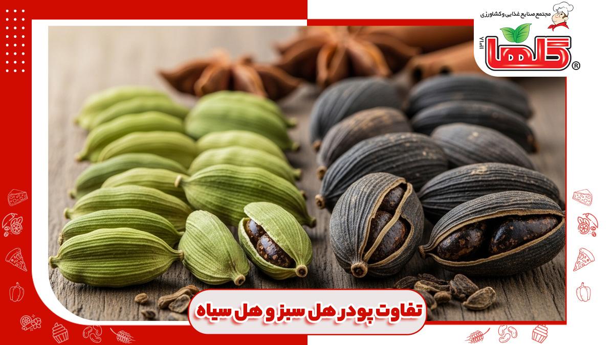 تفاوت پودر هل سبز و هل سیاه